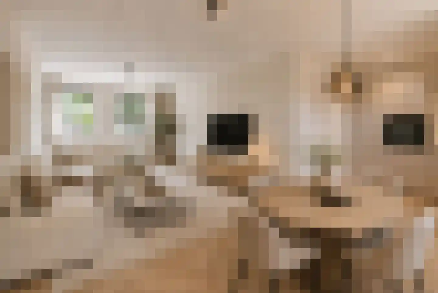 Molenstraat 14 Amerongen thumbnail 5