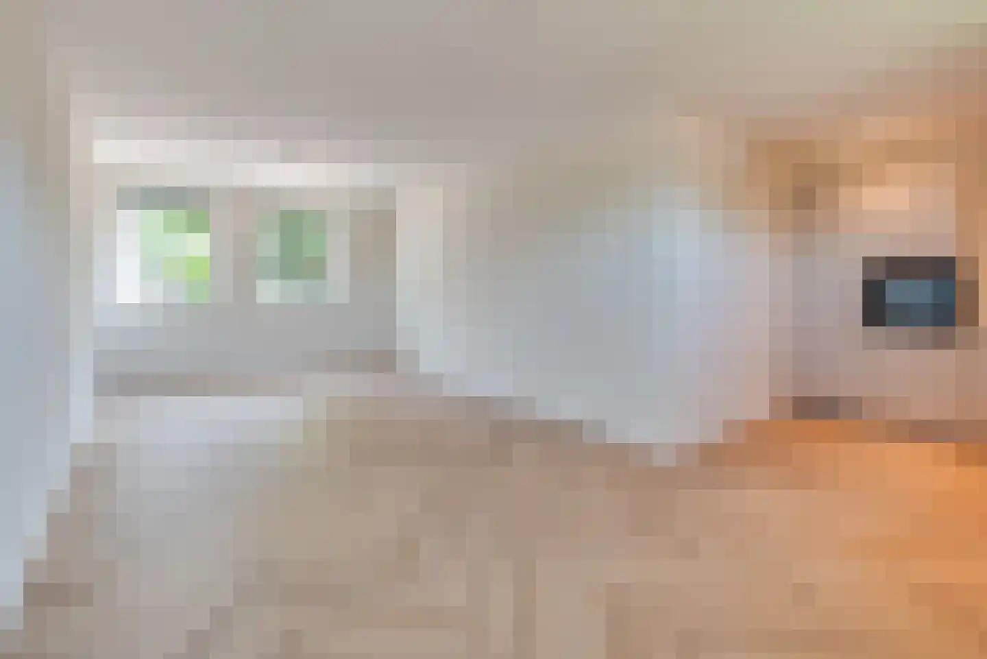 Molenstraat 14 Amerongen thumbnail 7