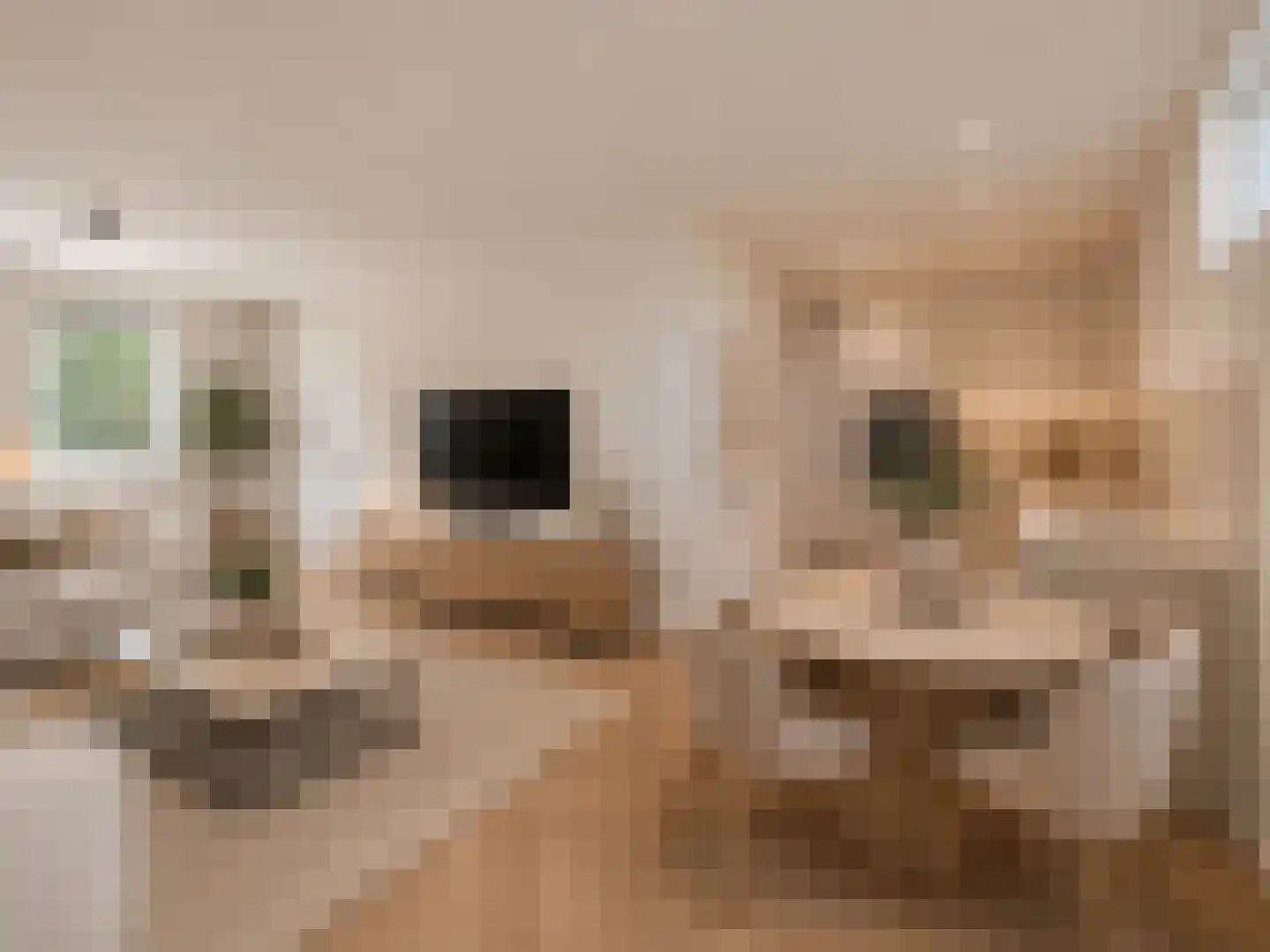 Molenstraat 14 Amerongen thumbnail 8