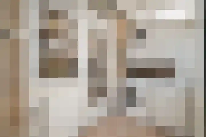 Molenstraat 14 Den Oever thumbnail 14