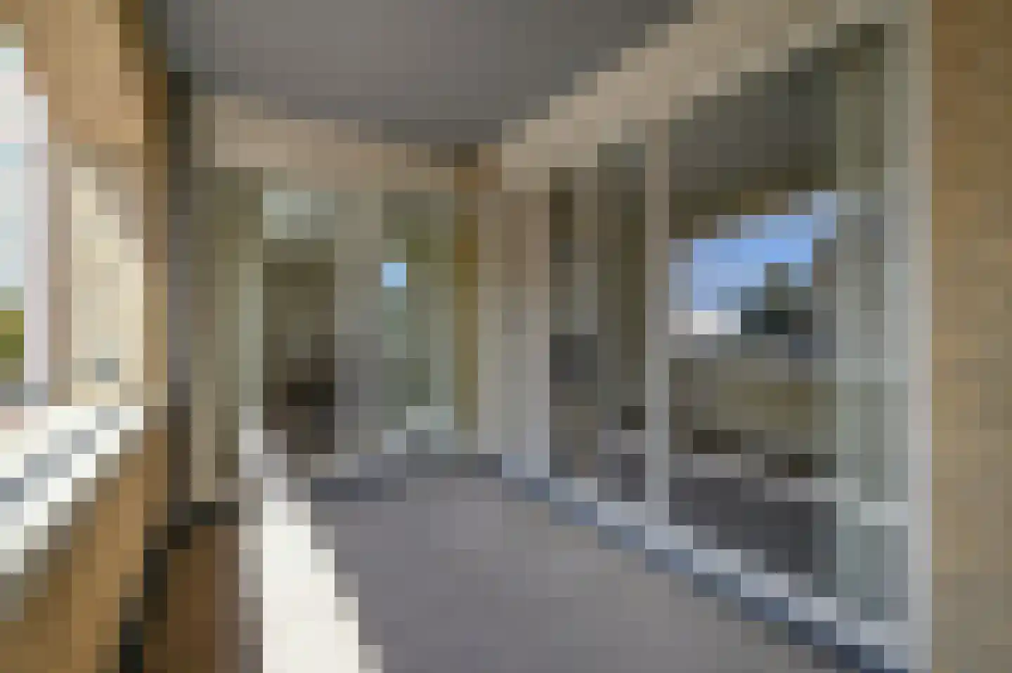 Molenstraat 14 E Putten thumbnail 14