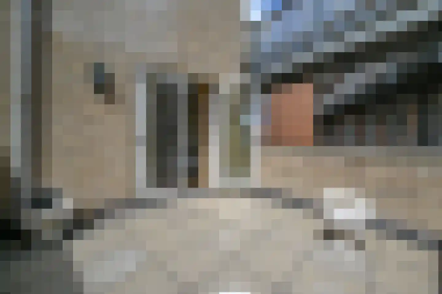 Molenstraat 14 E Putten thumbnail 23