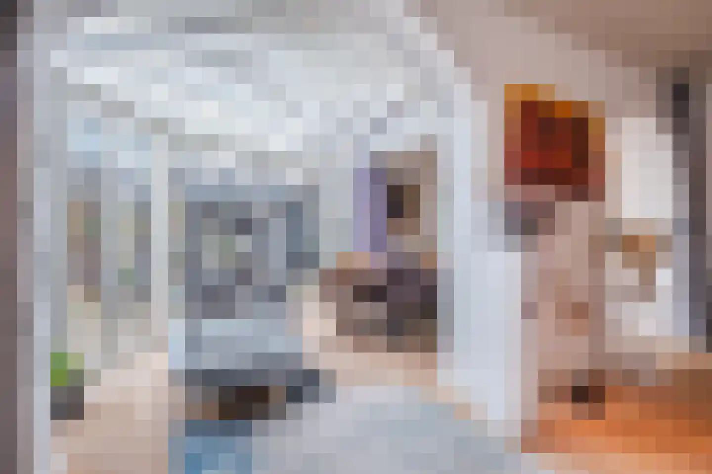 Molenstraat 14 Gemert thumbnail 14