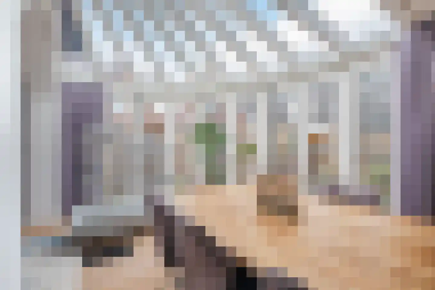 Molenstraat 14 Gemert thumbnail 16