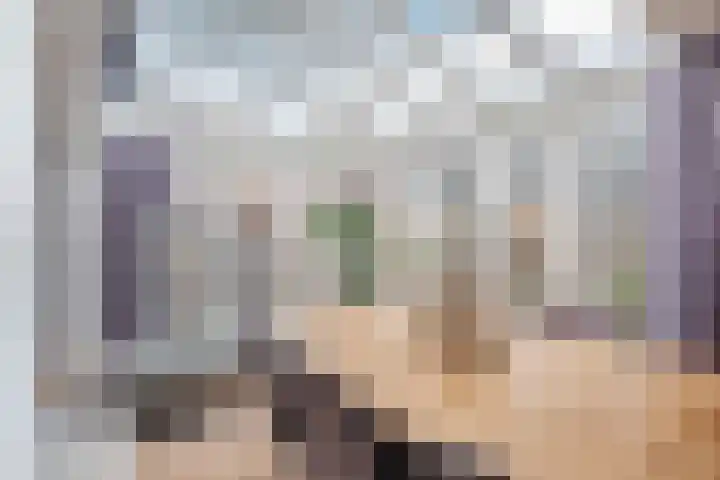 Molenstraat 14 Gemert thumbnail 16