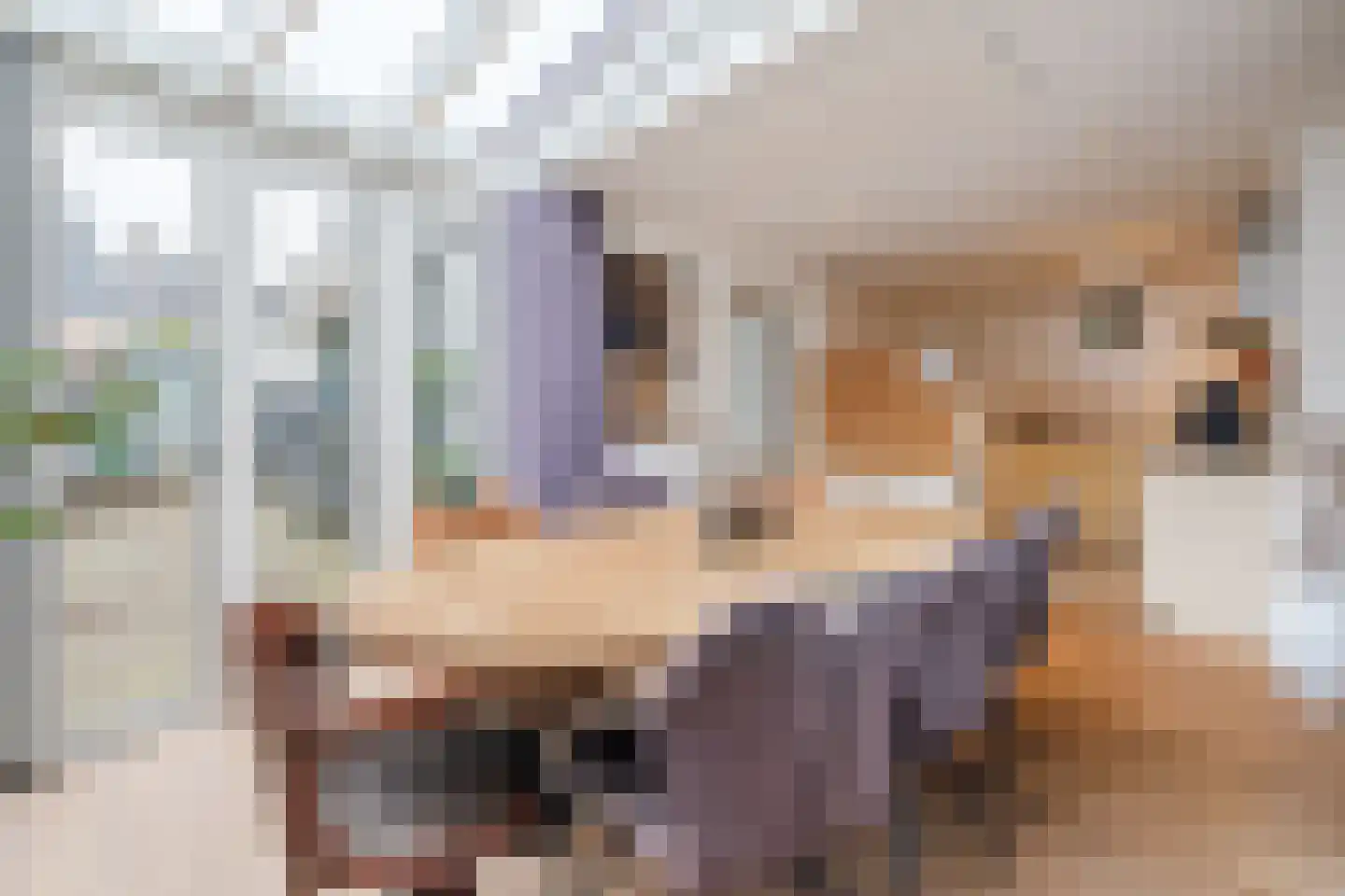 Molenstraat 14 Gemert thumbnail 17