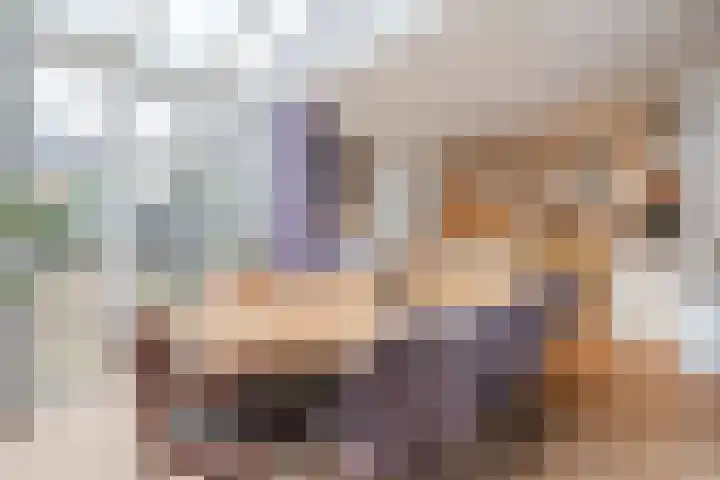 Molenstraat 14 Gemert thumbnail 17