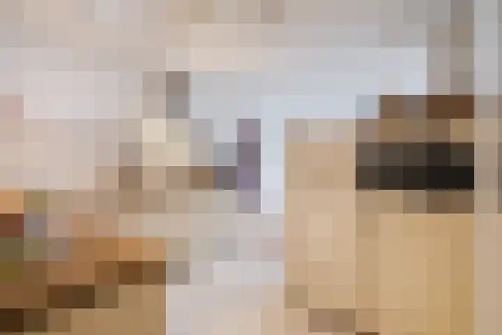 Molenstraat 14 Gemert thumbnail 18