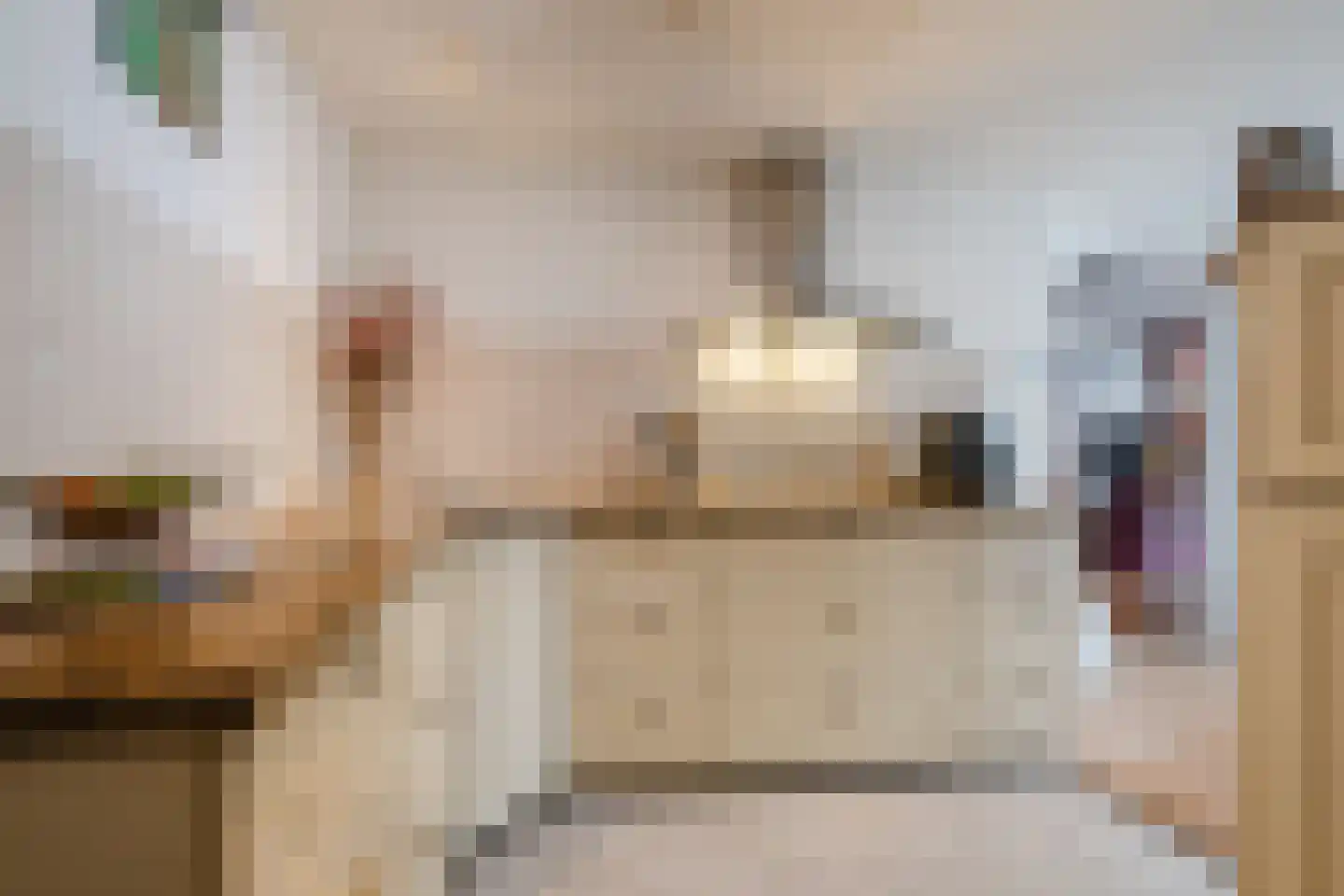 Molenstraat 14 Gemert thumbnail 19