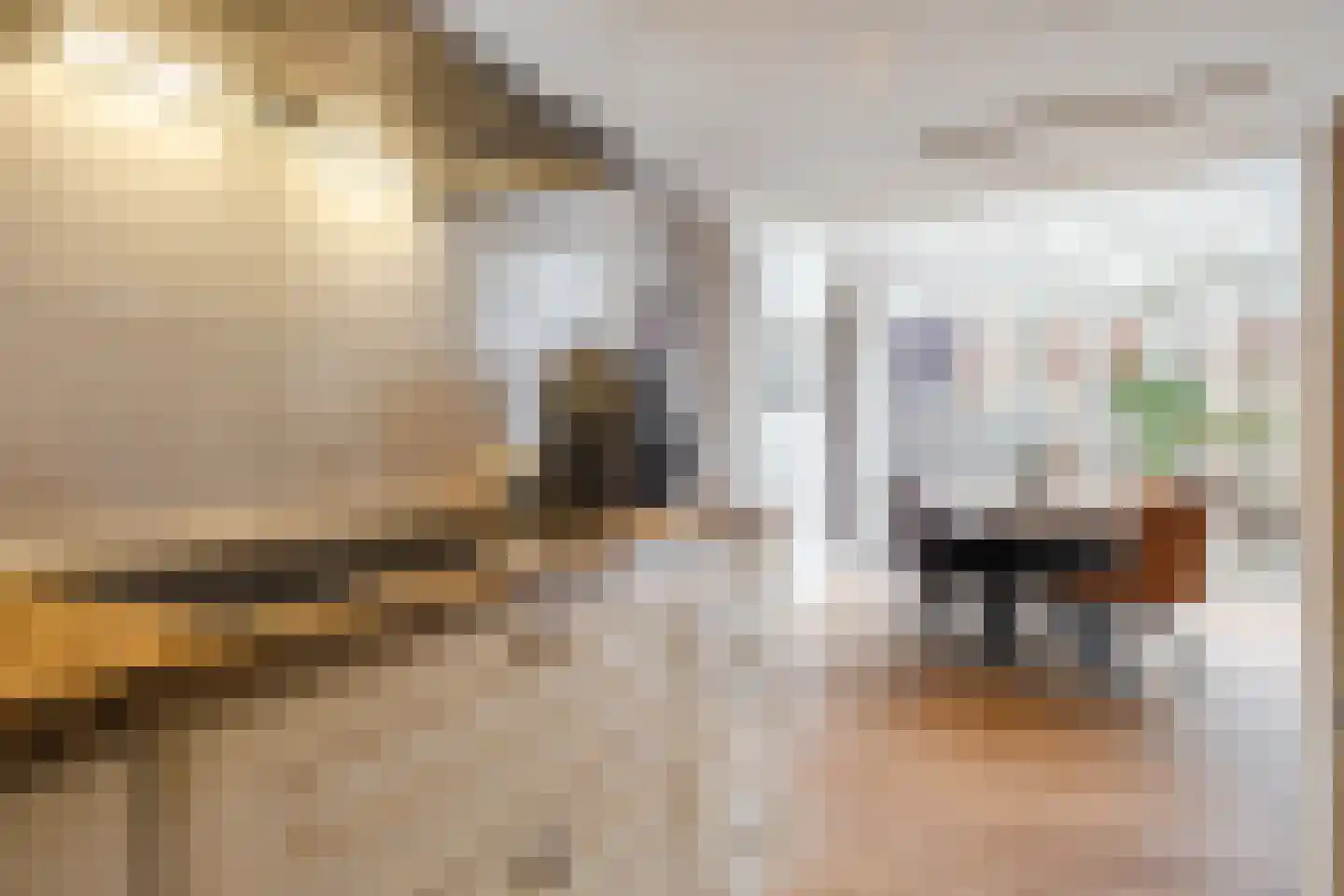 Molenstraat 14 Gemert thumbnail 20
