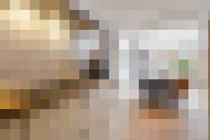 Molenstraat 14 Gemert thumbnail 20