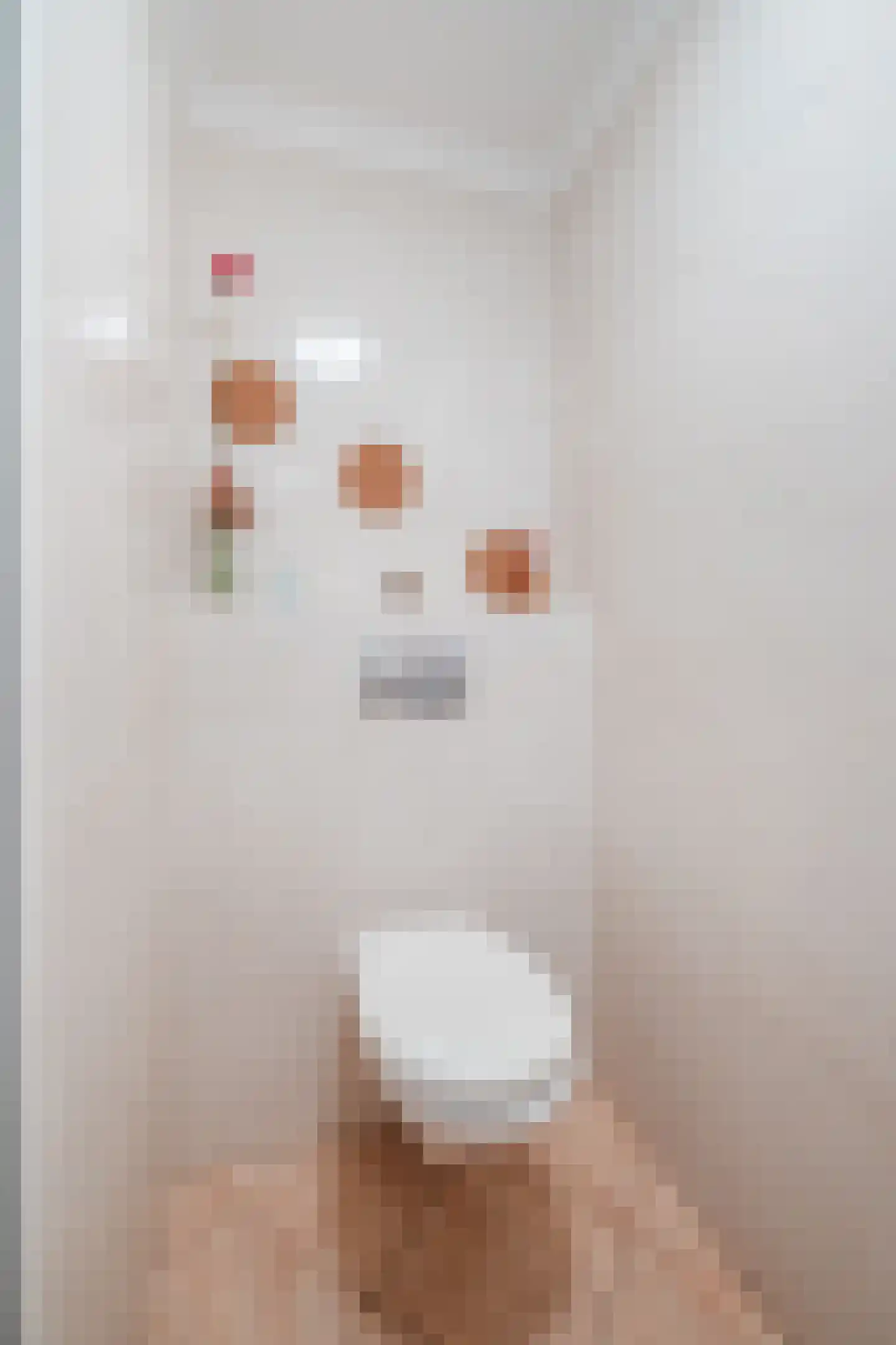 Molenstraat 14 Gemert thumbnail 21