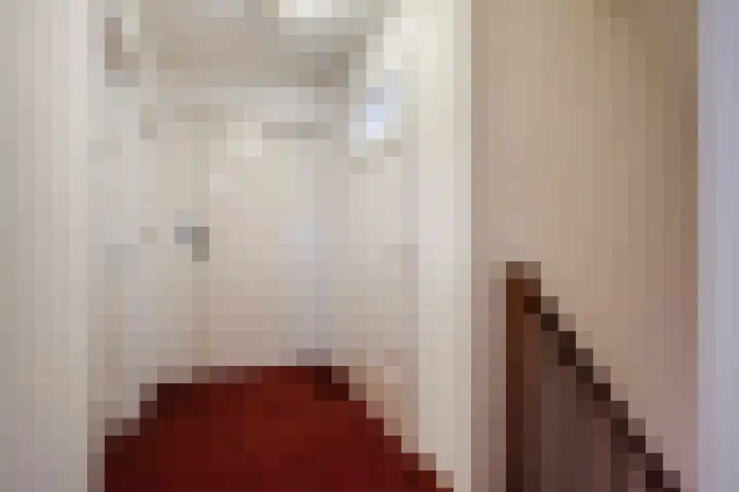 Molenstraat 14 Gemert thumbnail 22