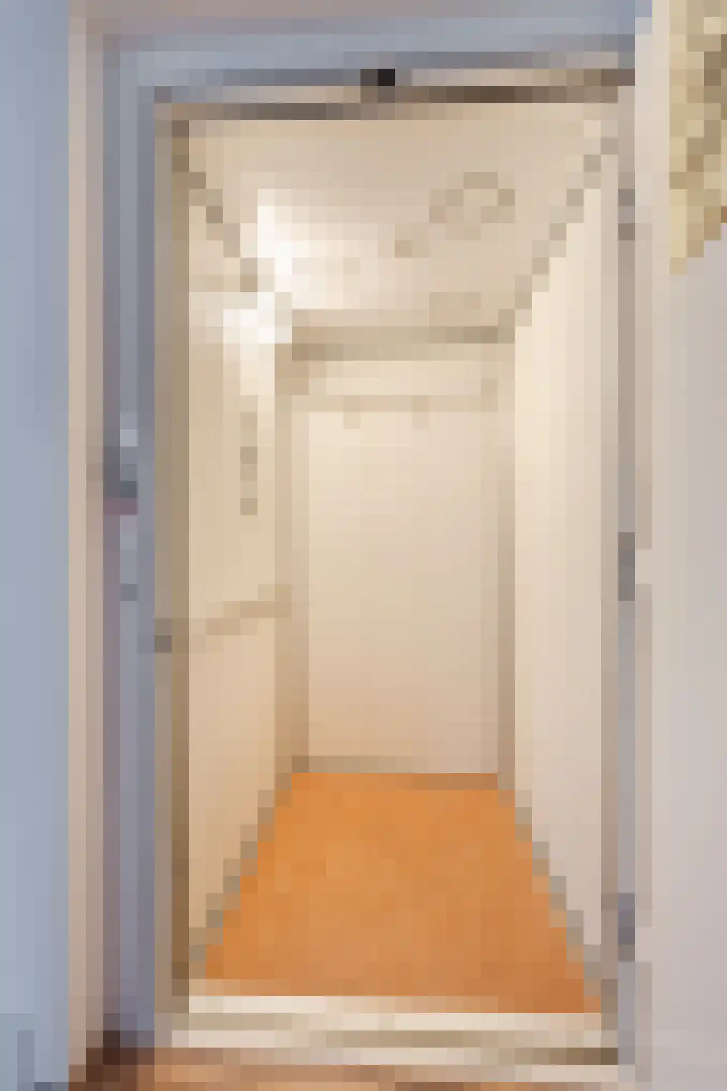 Molenstraat 14 Gemert thumbnail 23