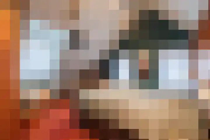 Molenstraat 14 Gemert thumbnail 25