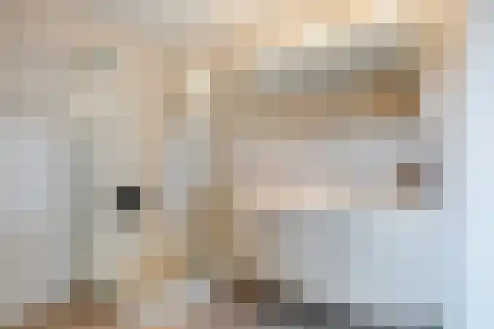 Molenstraat 14 Gemert thumbnail 30
