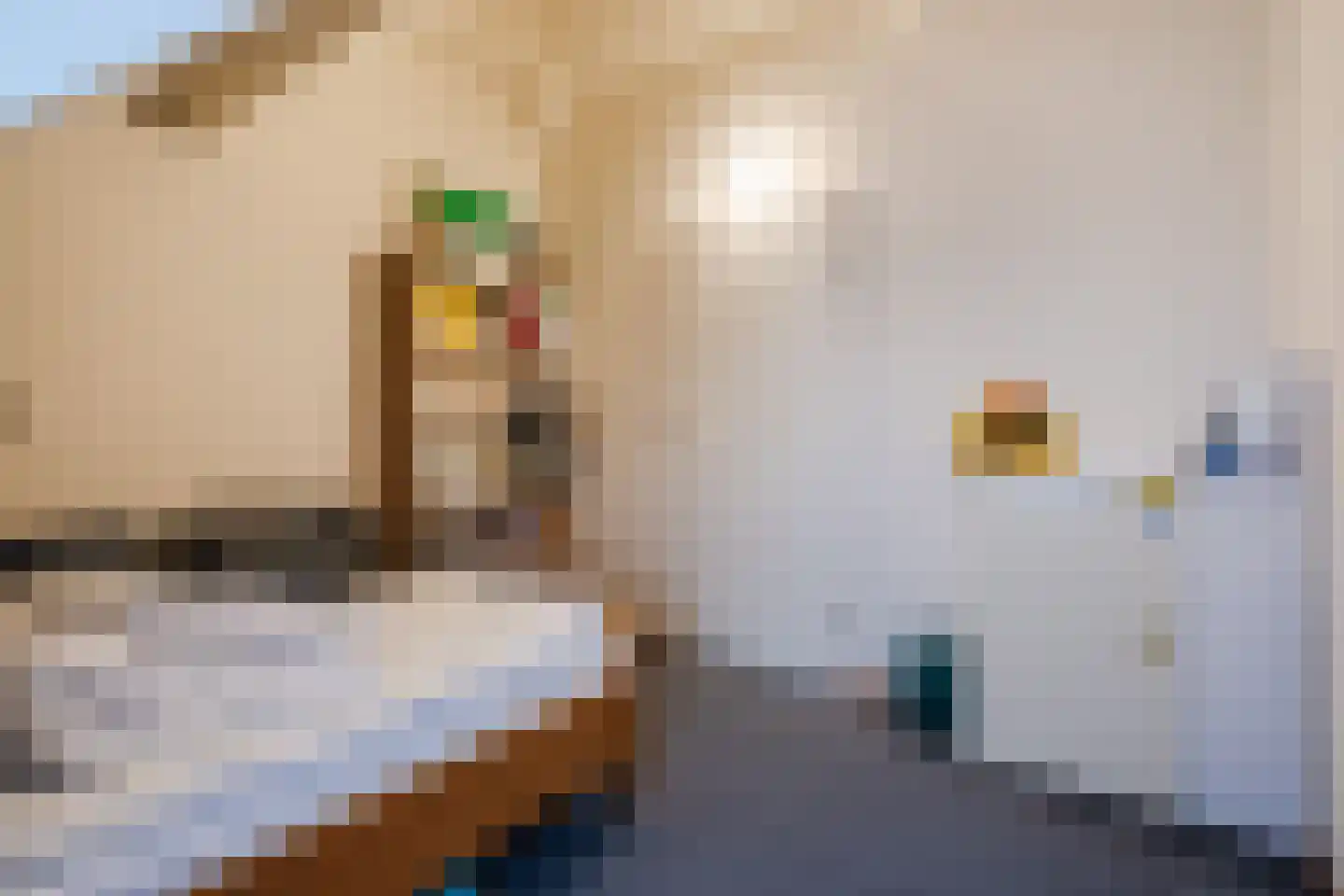 Molenstraat 14 Gemert thumbnail 32
