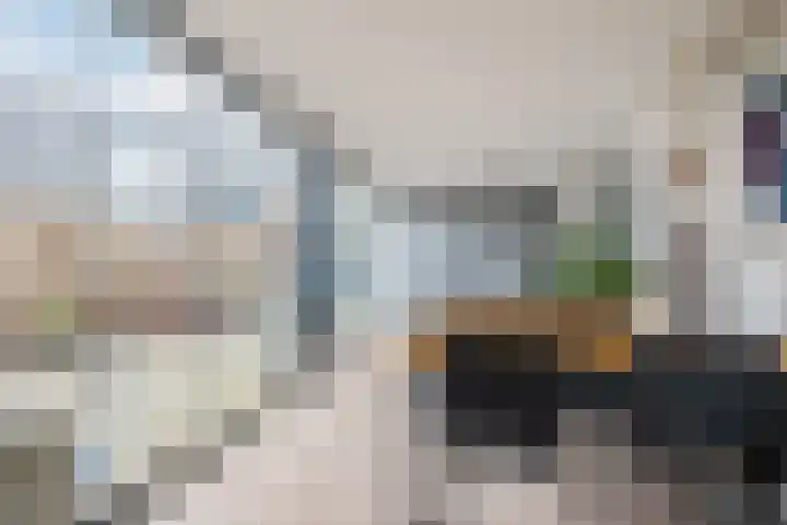 Molenstraat 14 Gemert thumbnail 35