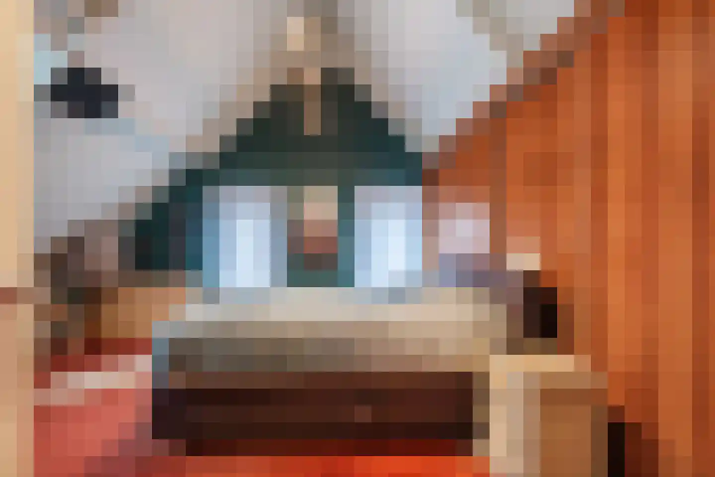 Molenstraat 14 Gemert thumbnail 4