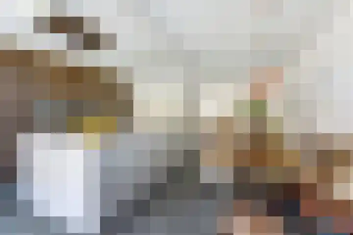 Molenstraat 14 Gemert thumbnail 41