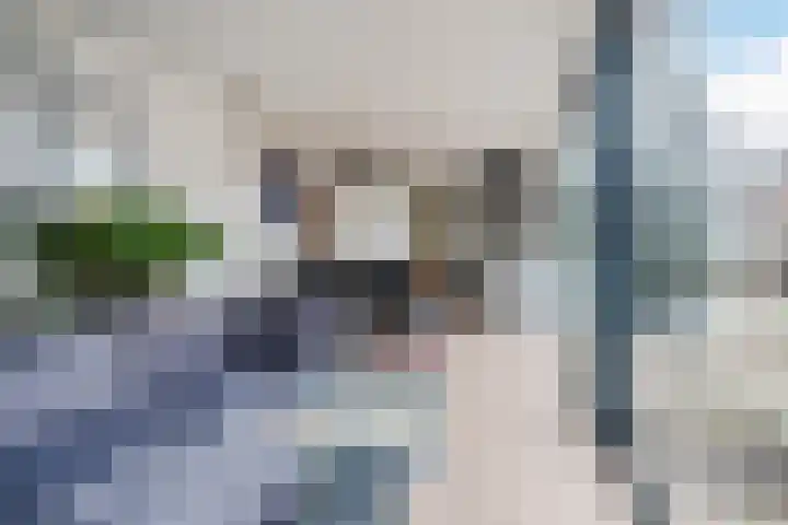 Molenstraat 14 Gemert thumbnail 5