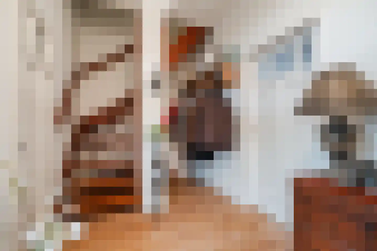 Molenstraat 14 Gemert thumbnail 7