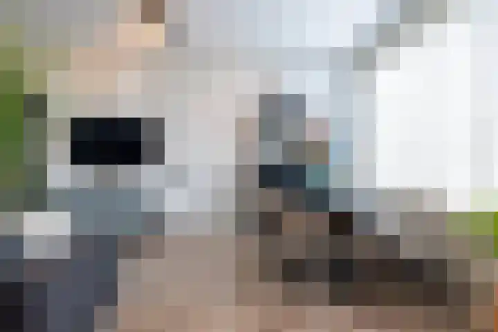 Molenstraat 14 Rotterdam thumbnail 8