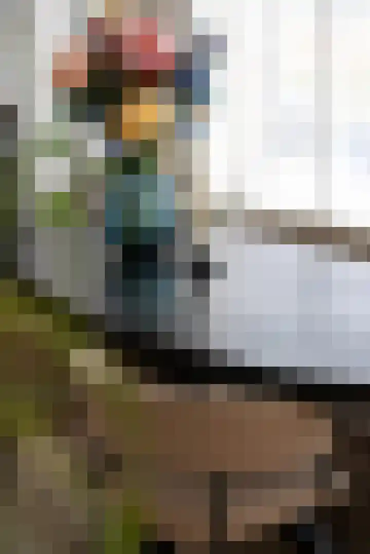 Molenstraat 14 Rotterdam thumbnail 9