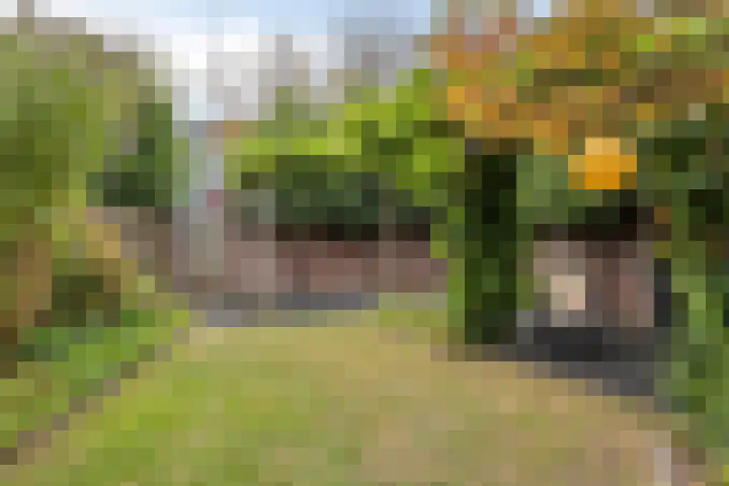 Molenstraat 14 Winterswijk thumbnail 31