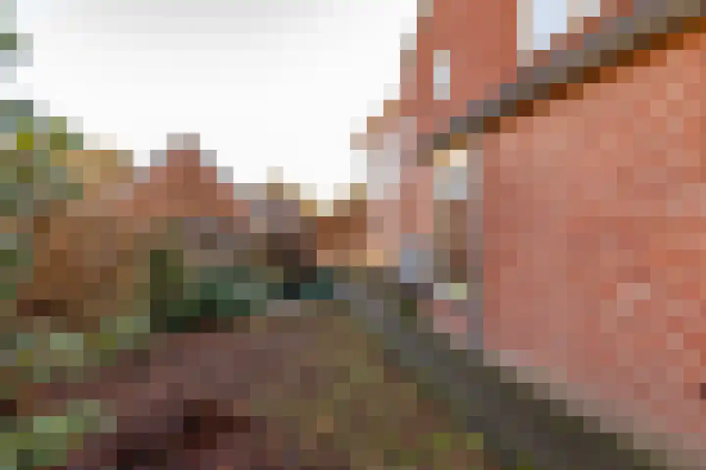 Molenstraat 14 Zuidwolde thumbnail 45