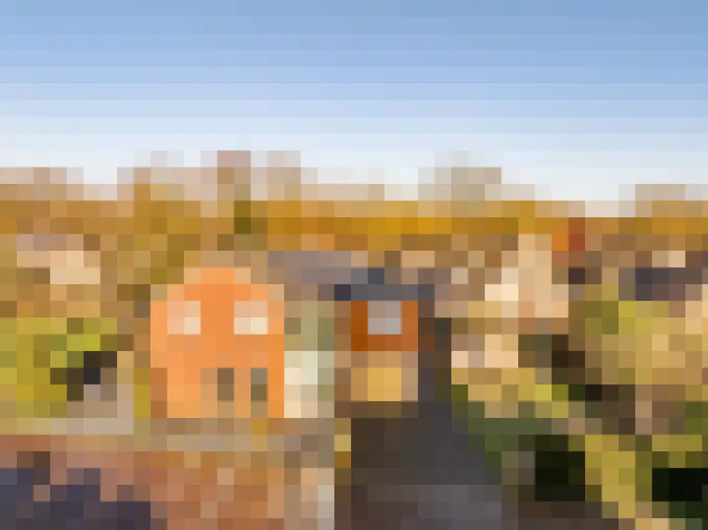 Molenstraat 14 Zuidwolde thumbnail 52