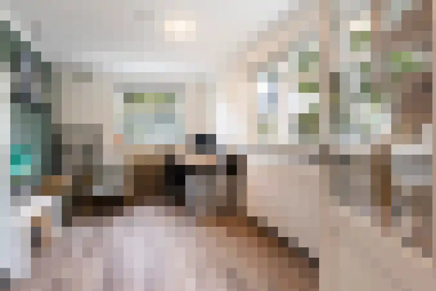 Molenstraat 140 Apeldoorn thumbnail 20