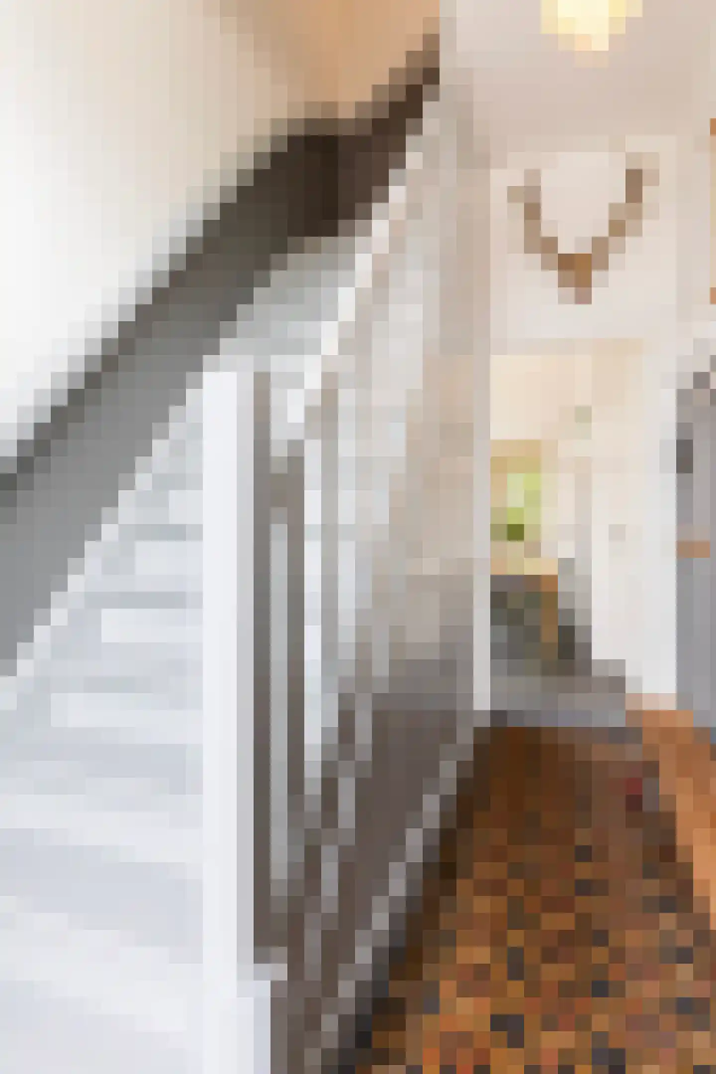 Molenstraat 140 Apeldoorn thumbnail 22