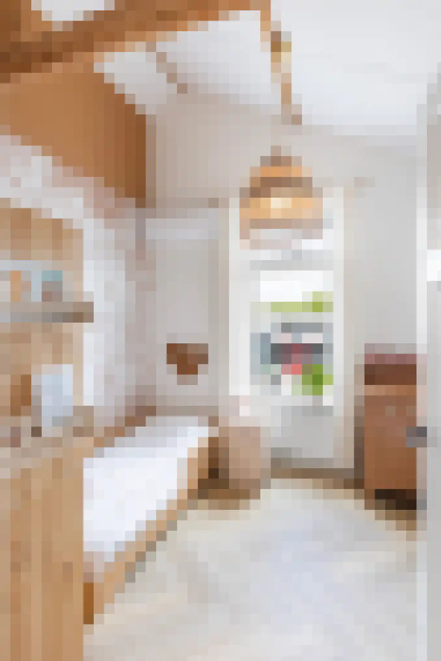 Molenstraat 140 Apeldoorn thumbnail 30