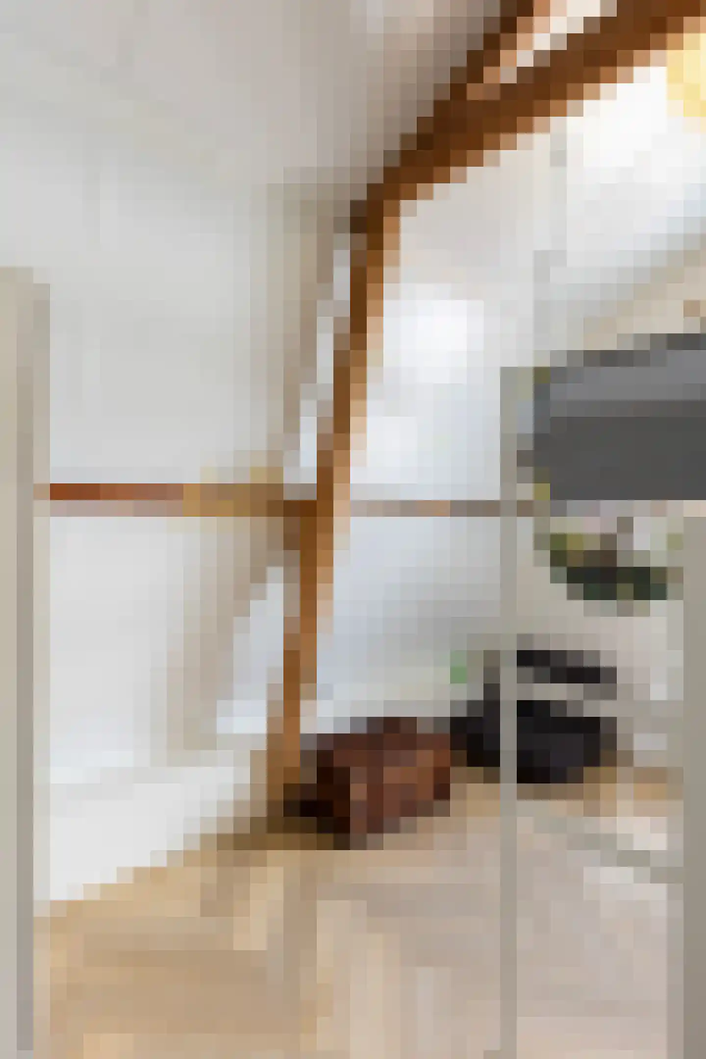Molenstraat 140 Apeldoorn thumbnail 32