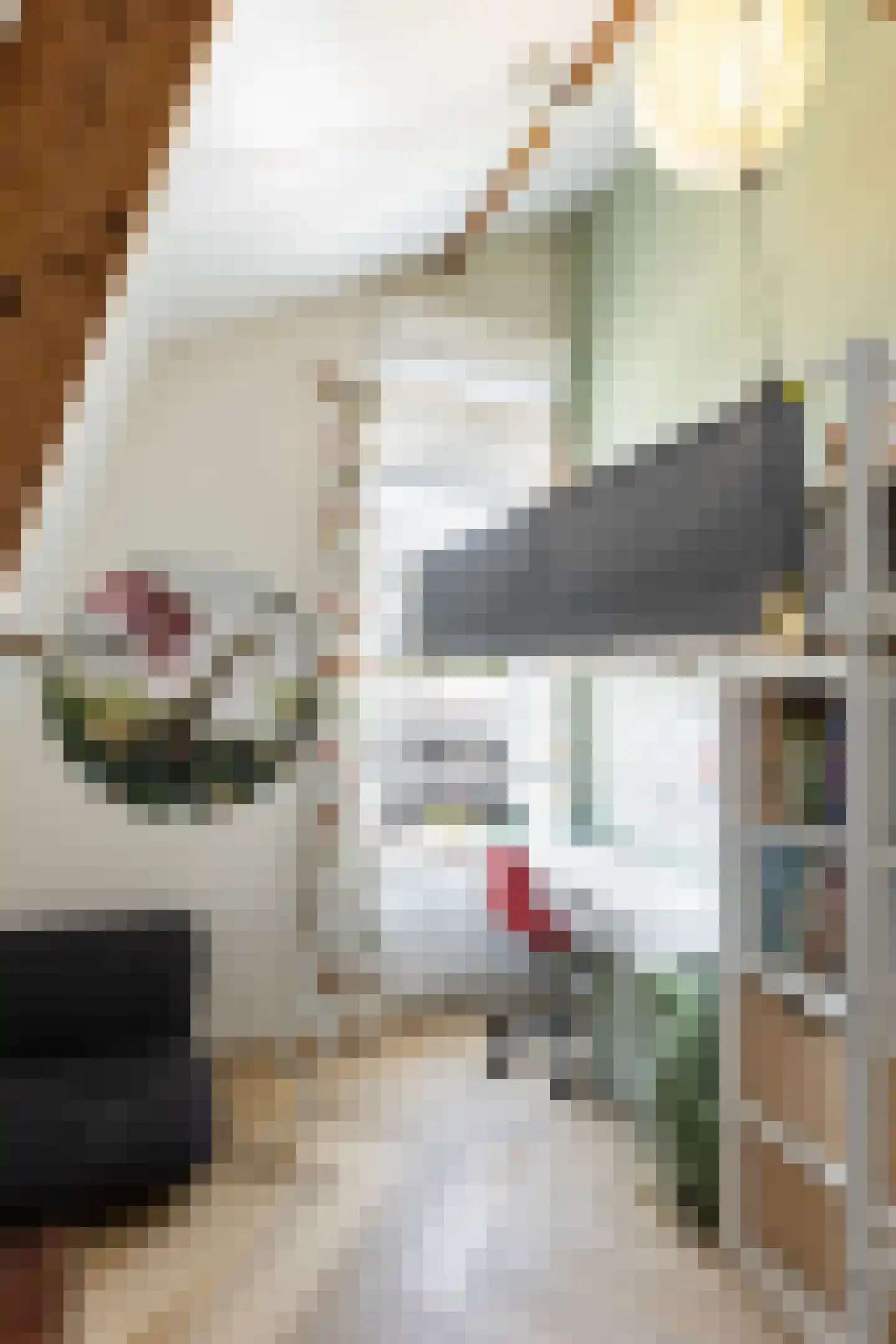 Molenstraat 140 Apeldoorn thumbnail 33