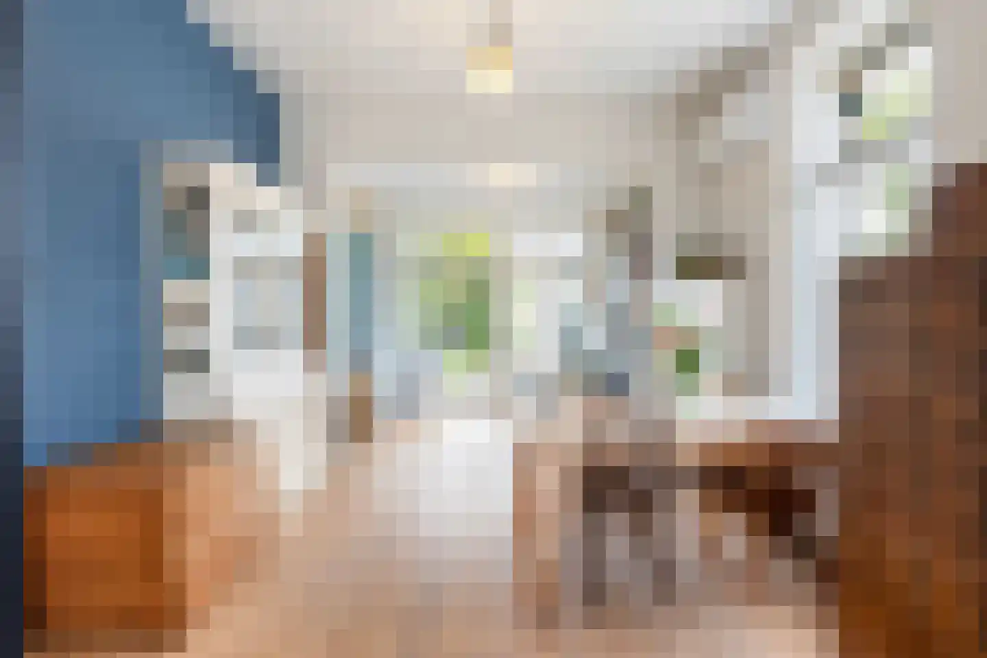 Molenstraat 140 Apeldoorn thumbnail 4