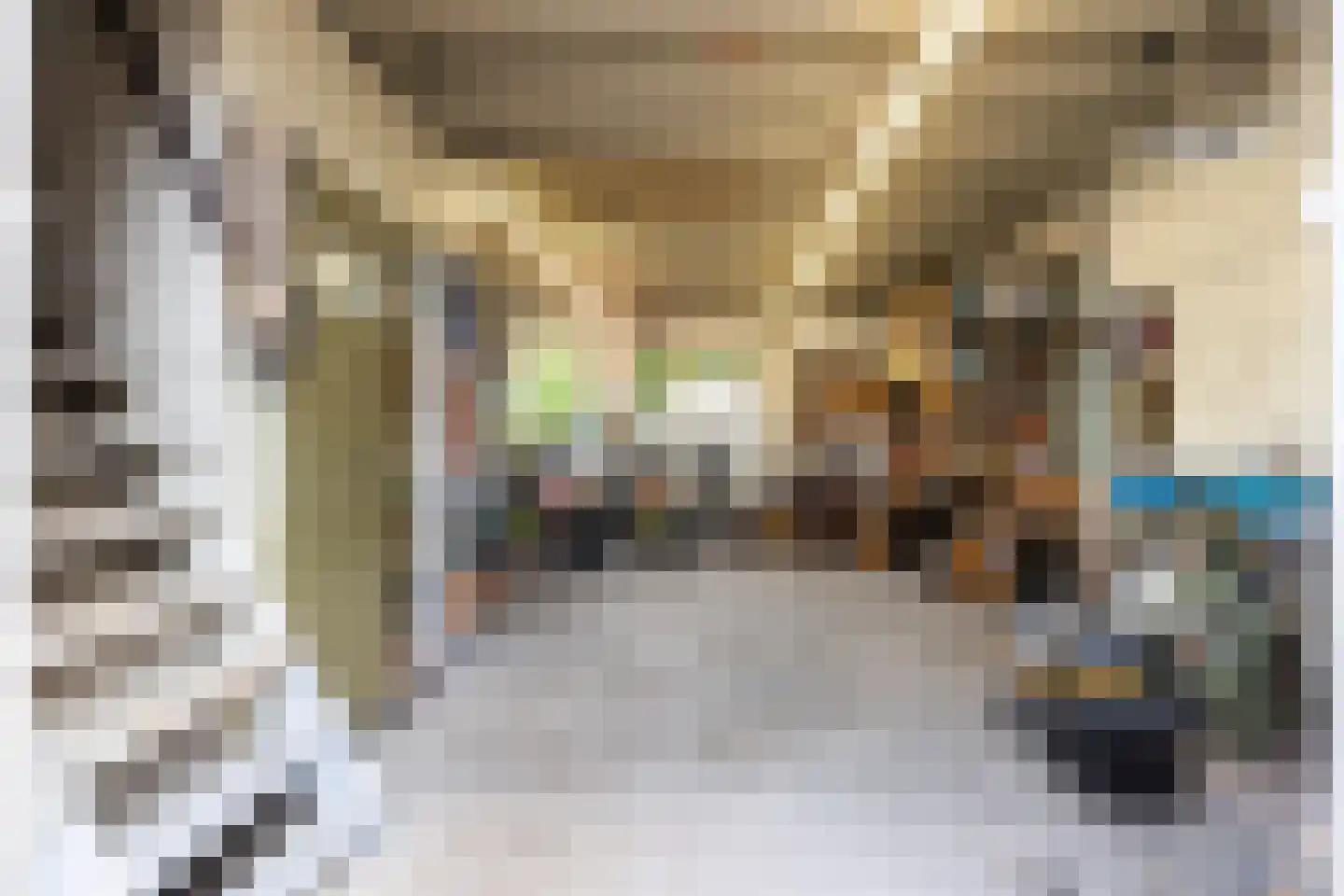 Molenstraat 140 Apeldoorn thumbnail 46