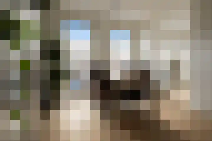 Molenstraat 140 Den Helder thumbnail 11