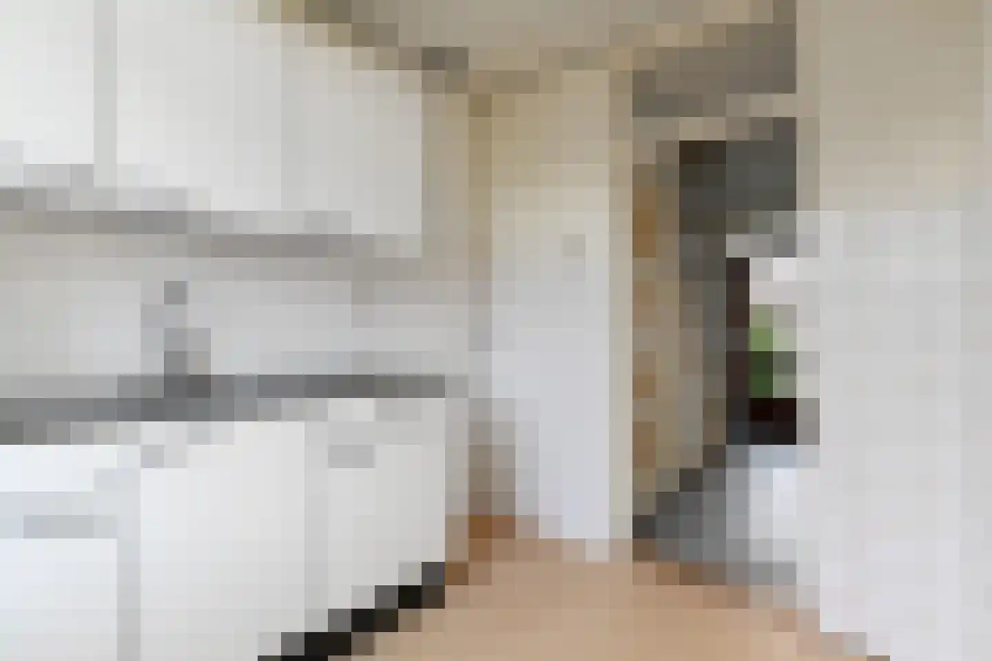 Molenstraat 140 Zoetermeer thumbnail 16