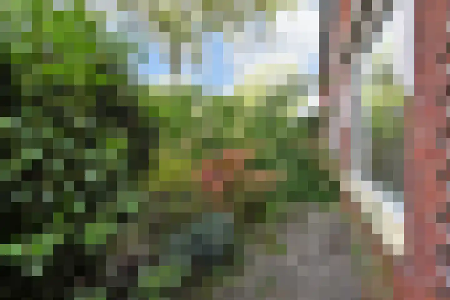 Molenstraat 140 Zoetermeer thumbnail 7