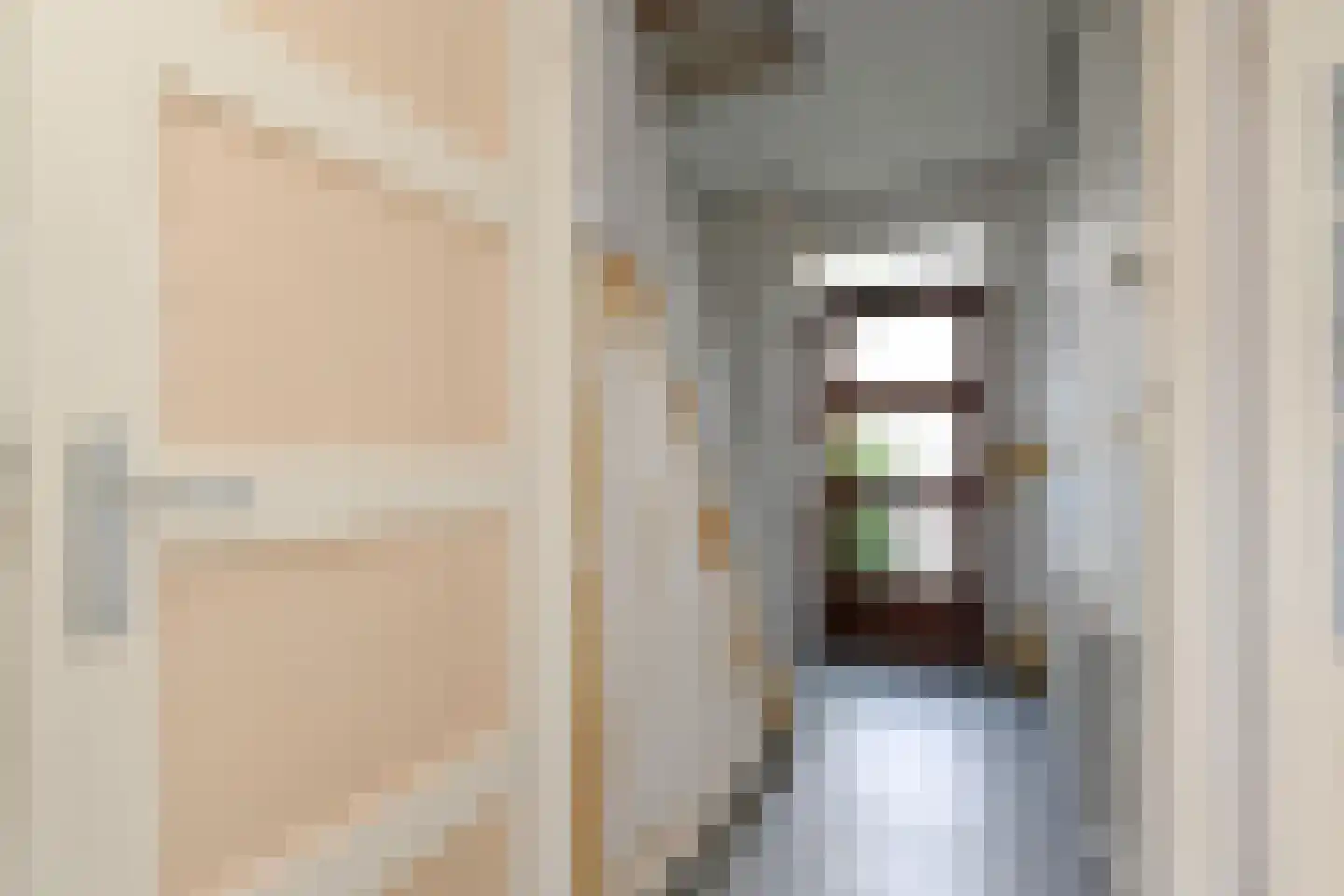 Molenstraat 140 Zoetermeer thumbnail 9