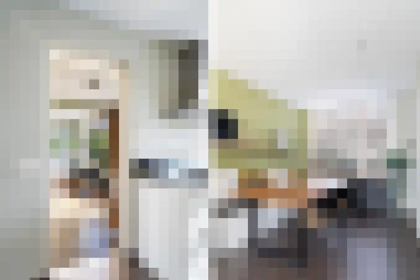Molenstraat 141 Monster thumbnail 17