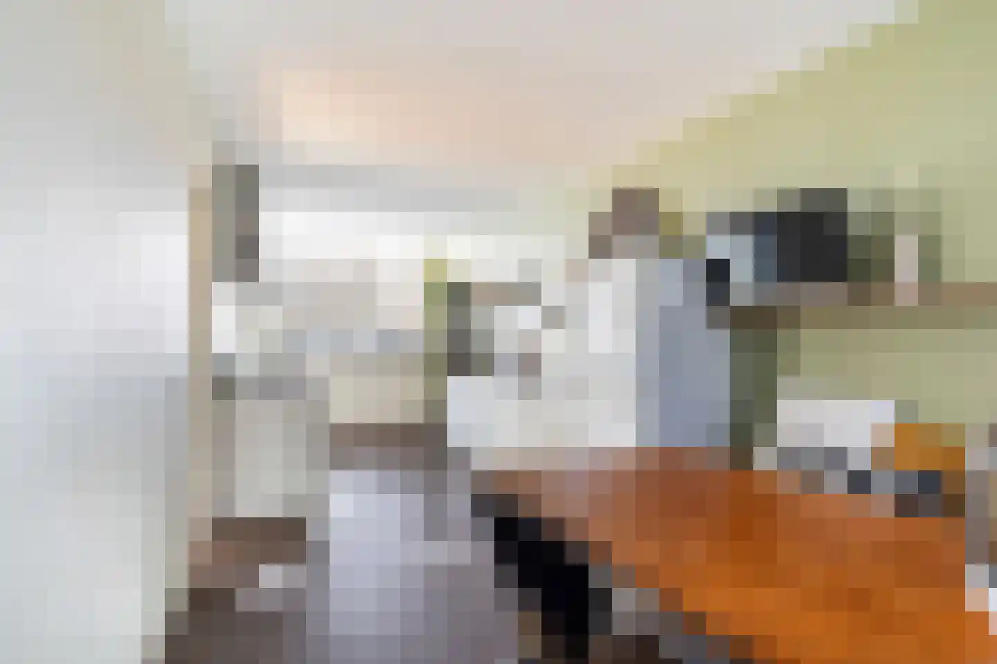 Molenstraat 141 Monster thumbnail 20