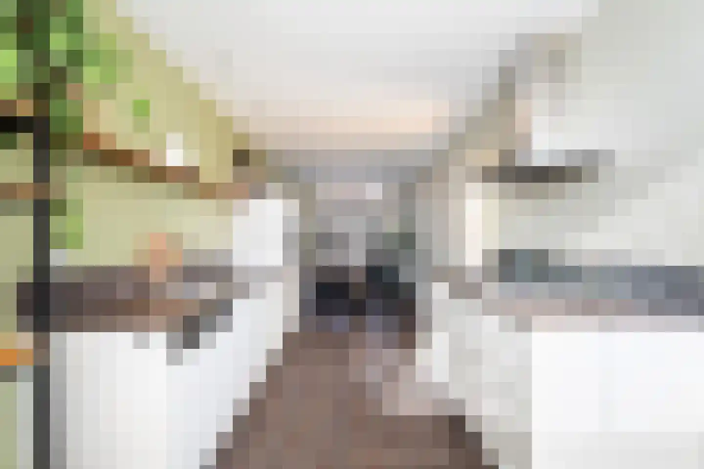 Molenstraat 141 Monster thumbnail 21