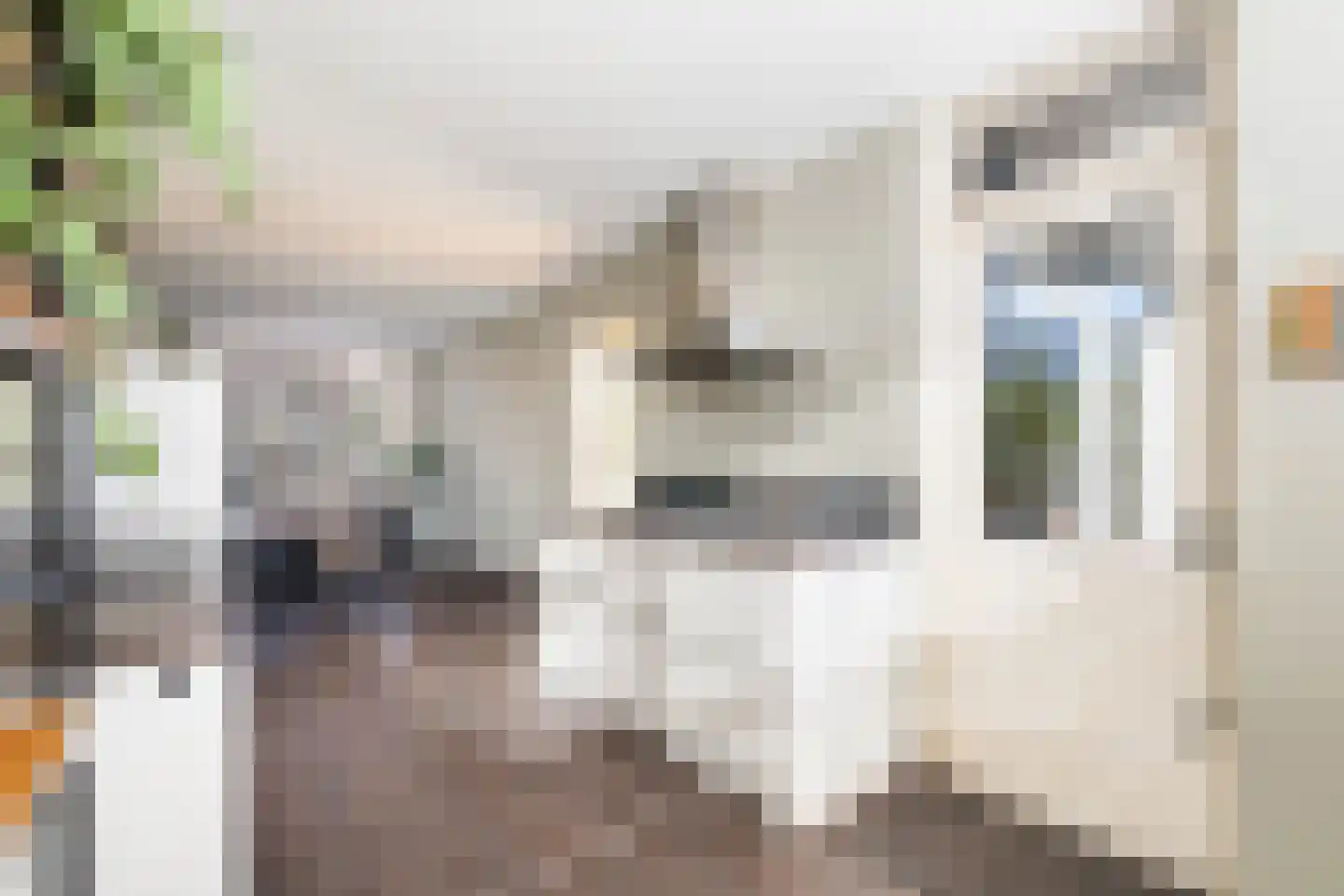Molenstraat 141 Monster thumbnail 22