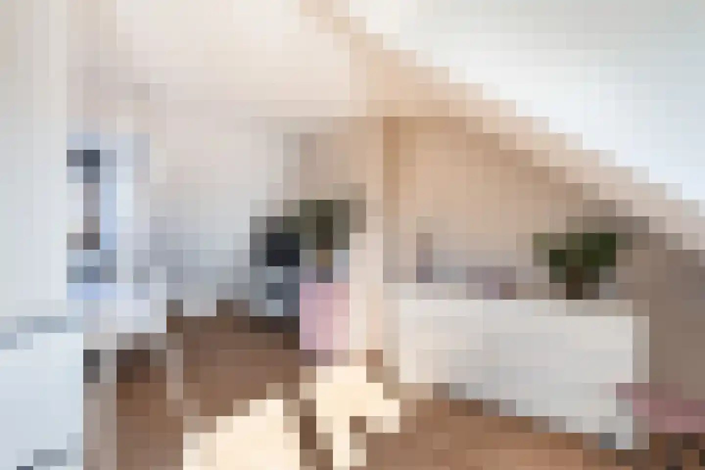 Molenstraat 141 Monster thumbnail 40