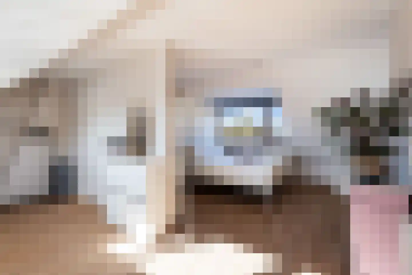 Molenstraat 141 Monster thumbnail 41