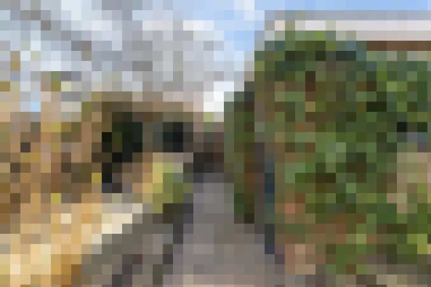 Molenstraat 141 Monster thumbnail 46