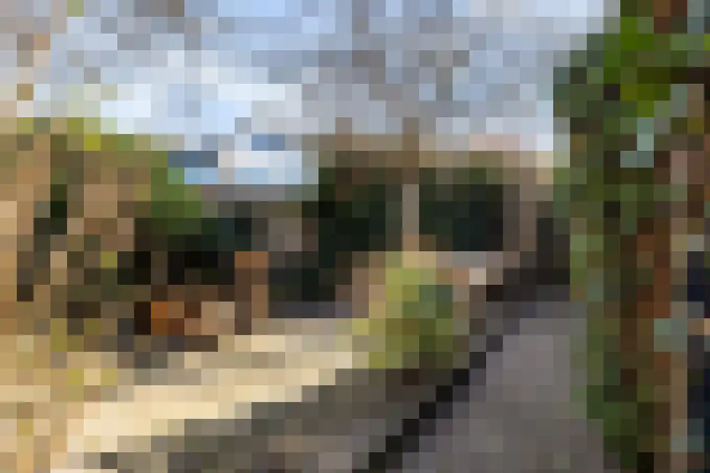 Molenstraat 141 Monster thumbnail 47